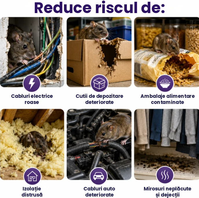 ✅ Produs NOU in Romania Discuri complet naturale cu mentă și scorțișoară pentru alungarea dăunătorilor și rozătoarelor 🕷️🐍