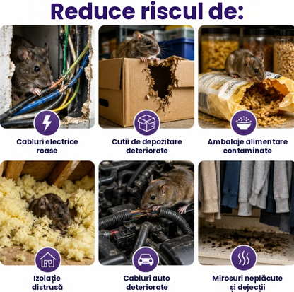 ✅ Produs NOU in Romania Discuri complet naturale cu mentă și scorțișoară pentru alungarea dăunătorilor și rozătoarelor 🕷️🐍